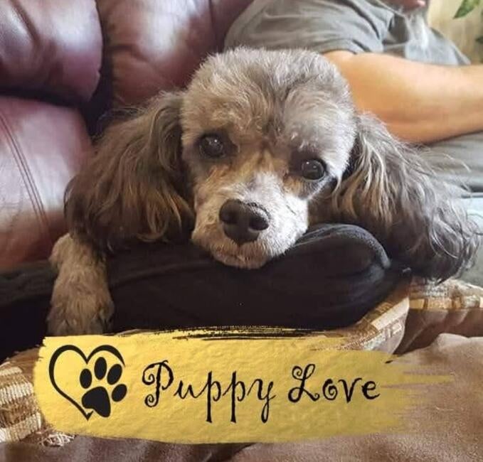 inbound8804177223615619081