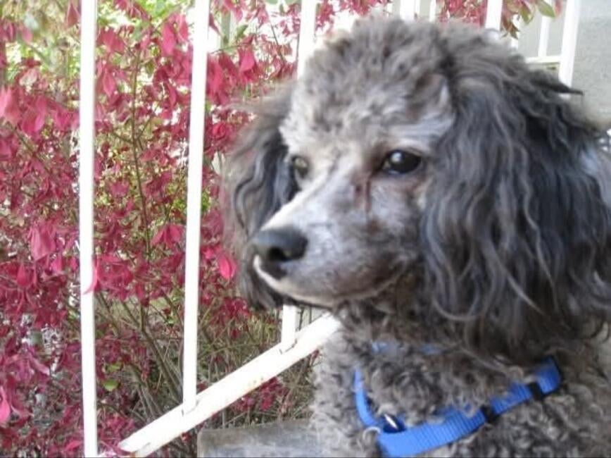 inbound8951404671569738701