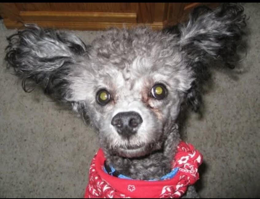 inbound9037520690156604380