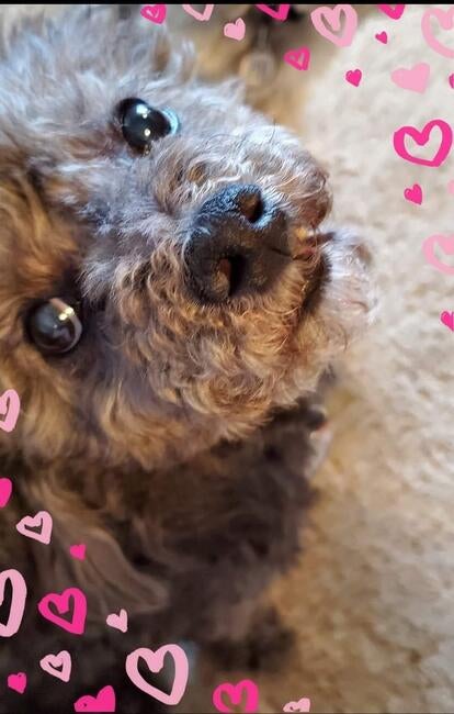 inbound973210229274133215