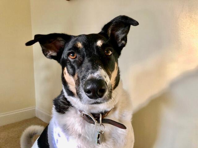 ada48556-ca8b-4fd5-8533-2f7b5bdf83ce