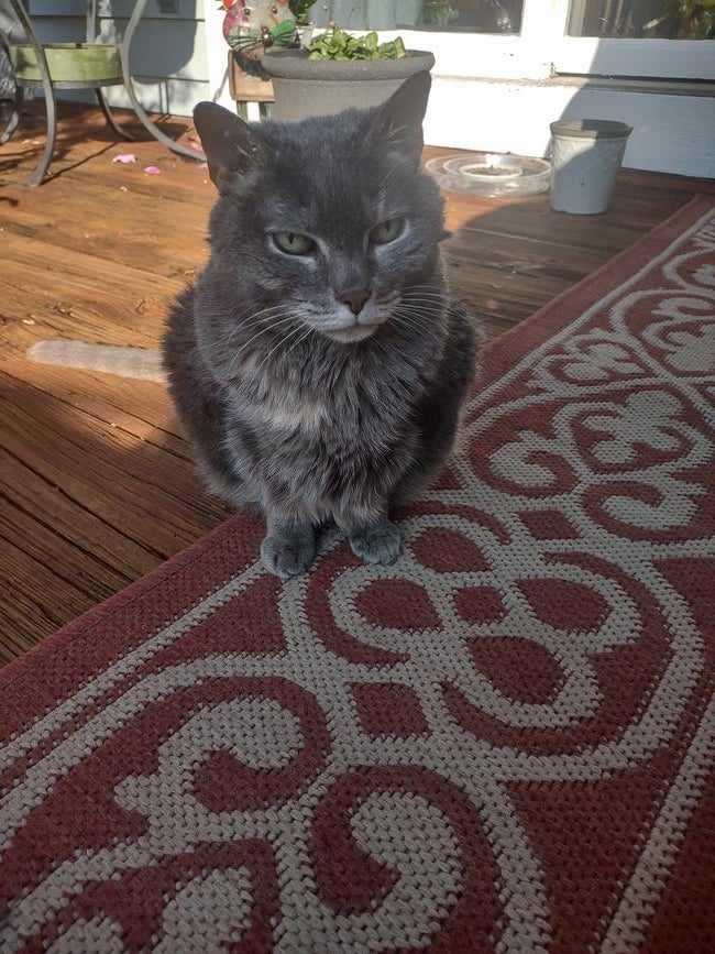 fa0d5157-70f2-4ae5-87c2-fe2bfb15d4f2-1_all_214