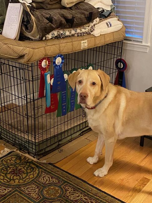 1e36930e-09cf-46b8-8063-ebec78c13f28