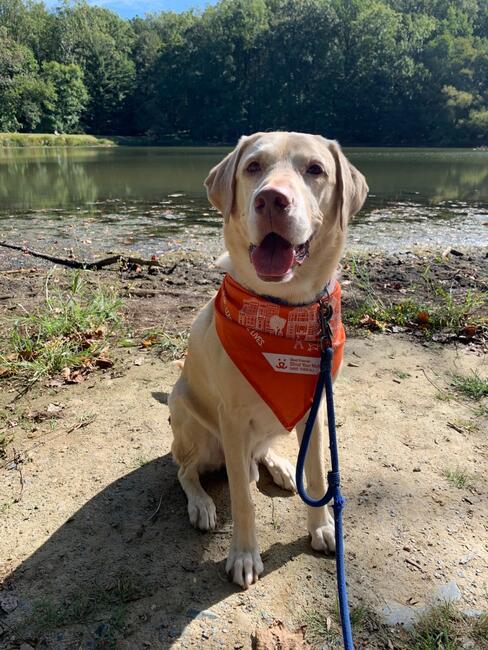 3aa7b812-0536-42b7-ad1b-ec9d2c5318e7