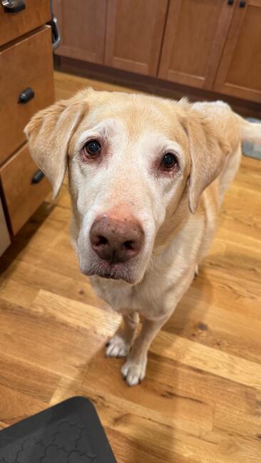 42f43937-fd73-4763-8d92-5cef51f29678