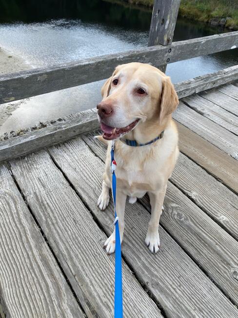 60a59ecc-27da-4618-b62c-5a797a4a26c7