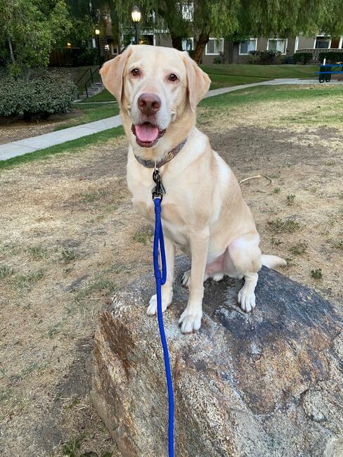 71cc4b1e-7cb0-4841-b5ba-bce63d0c4c54