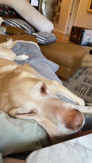 75a23fd7-37f1-4378-99bc-48772d082ce8