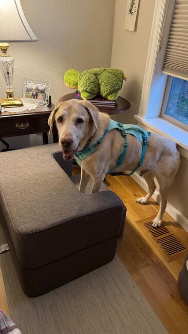 ae10333e-ec56-4eae-9283-1c96cbe274e8