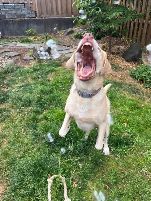 bf5dd3a9-699a-47cf-98c9-c0a39bd65dfd