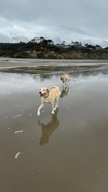 c1769bd1-f011-4b6c-98fb-5ade61649530