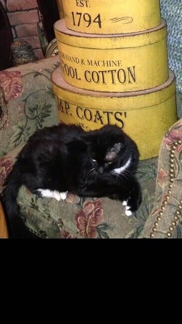 06b726b1-10ea-488d-bcae-11f8eba15eec-1_all_1297