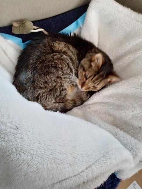 bonsai_20250212_one_of_his_last_pictures