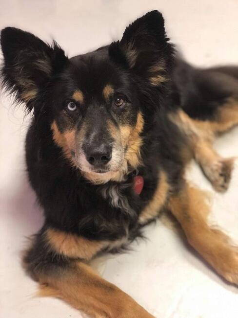 7a89659c-2ae7-48c3-9036-0a989072b938