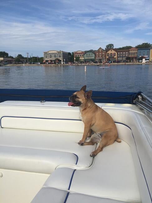 3546d11d-f4bb-476f-b08f-8e14489c4a74_1_105_c