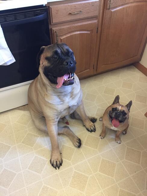 f45f942c-95e6-4d74-b530-49408f63e451_1_105_c