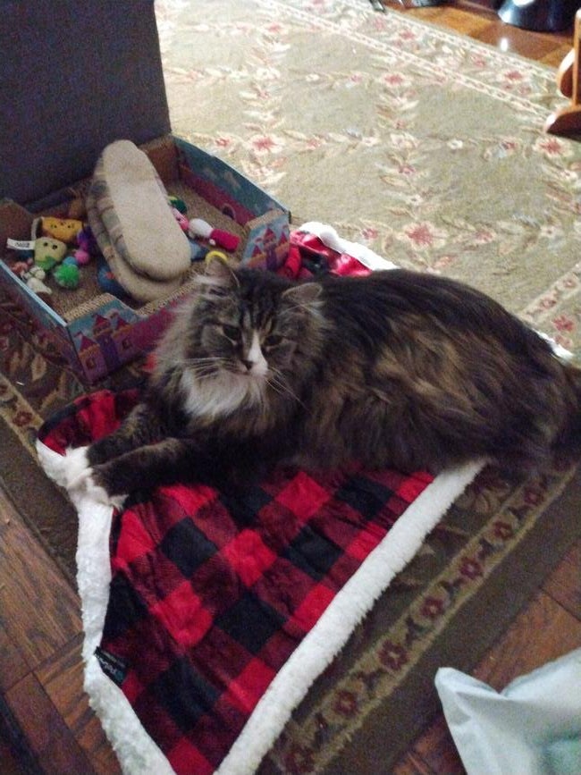 img_20221225_153722057