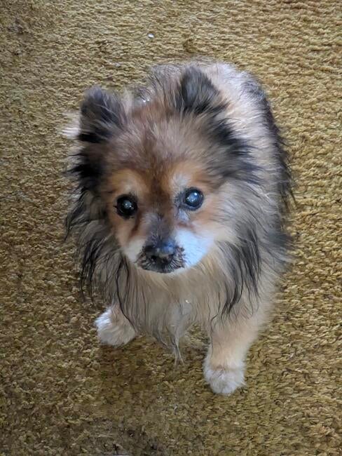 pxl_20251212_190039910