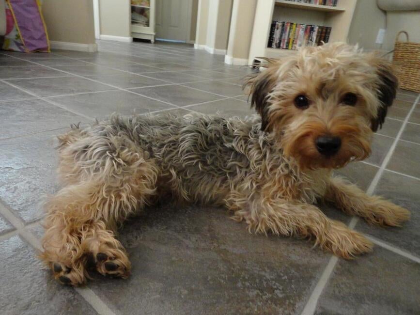 506621479_24147801574803267_8802466417702373377_n