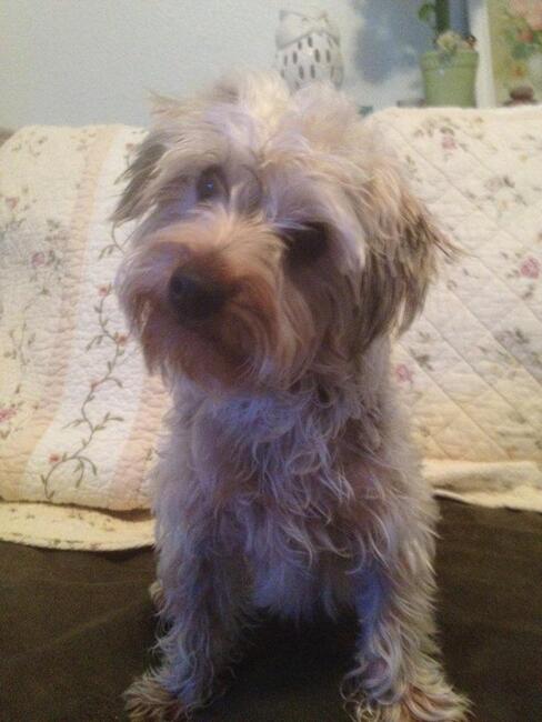 508280503_24173730905543667_6007174776936939249_n