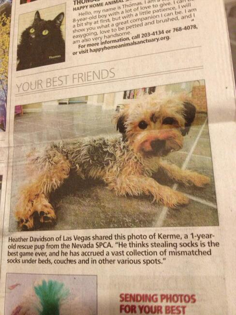 509315391_24184300324486725_7944456081281571070_n