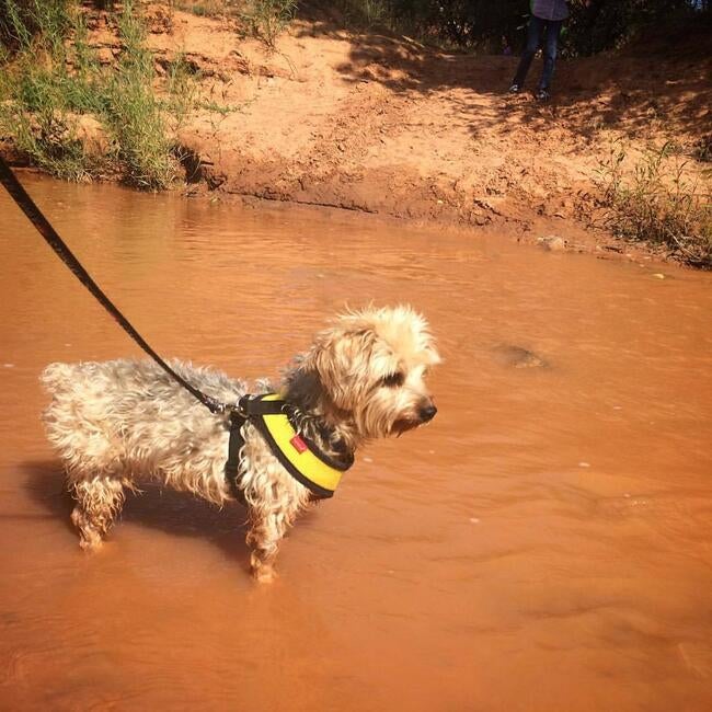 515317230_24326203460296410_3322971601980130449_n