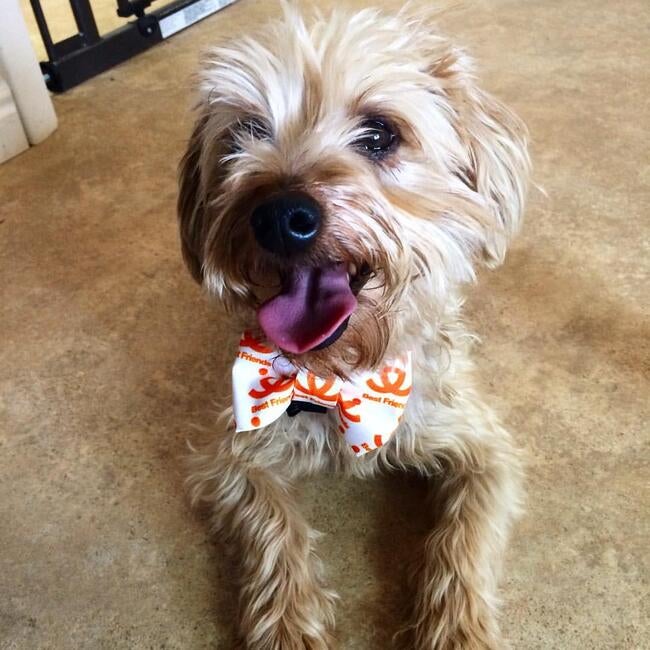 515496950_24310600551856701_4785114498688991883_n