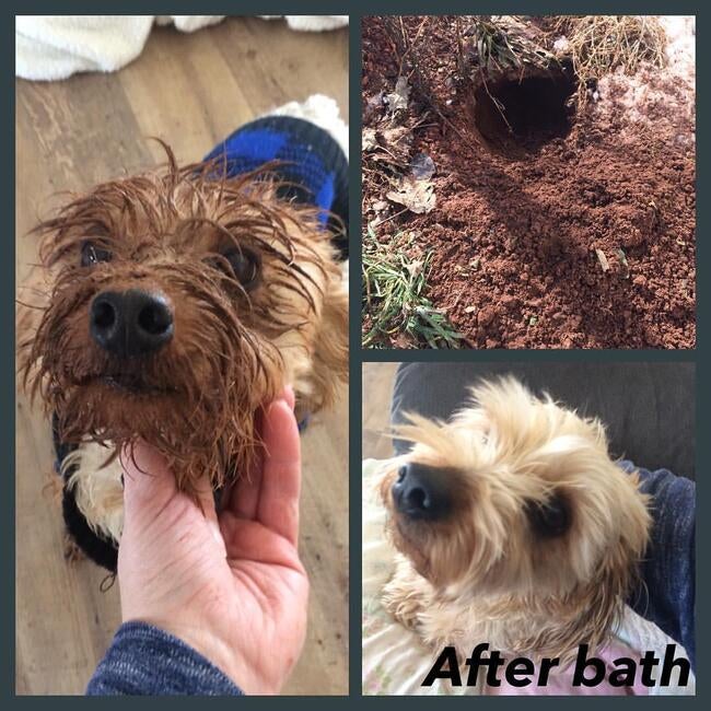 515684199_24320389750877781_829934336543361704_n