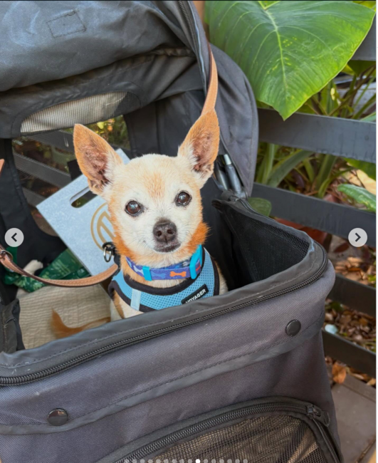 screenshot-2026-03-13-at-6