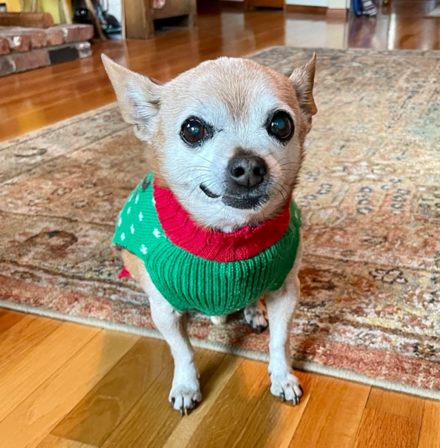 screenshot-2026-03-13-at-6