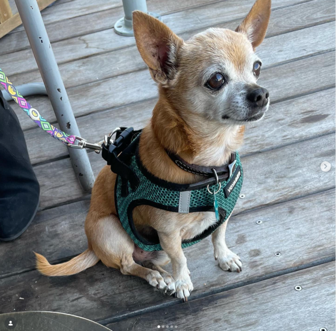 screenshot-2026-03-13-at-6