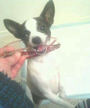 9ee89d33-7732-4e80-b299-3fc9ec7bc690-1_all_1324