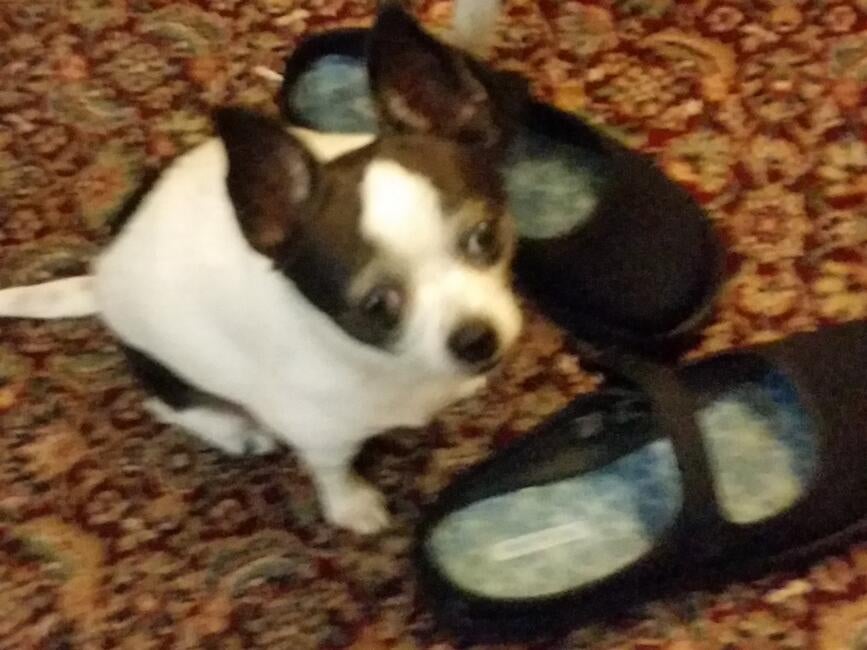 9ee89d33-7732-4e80-b299-3fc9ec7bc690-1_all_992