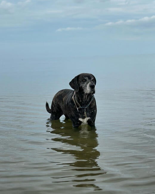 88000414-be5b-4481-a1fc-c063f8172ff4