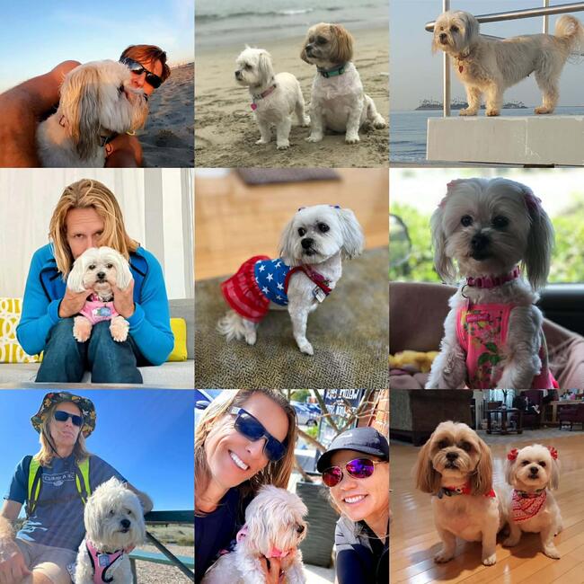 inbound623083305160902301