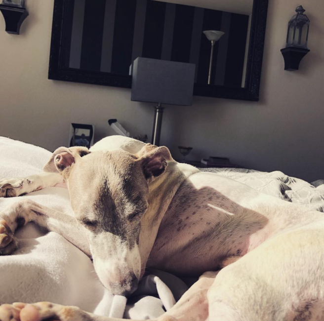 screenshot-2026-04-07-at-4