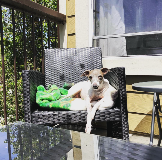 screenshot-2026-04-07-at-4