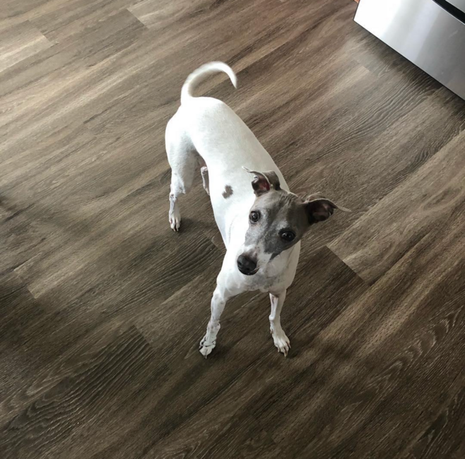 screenshot-2026-04-07-at-4