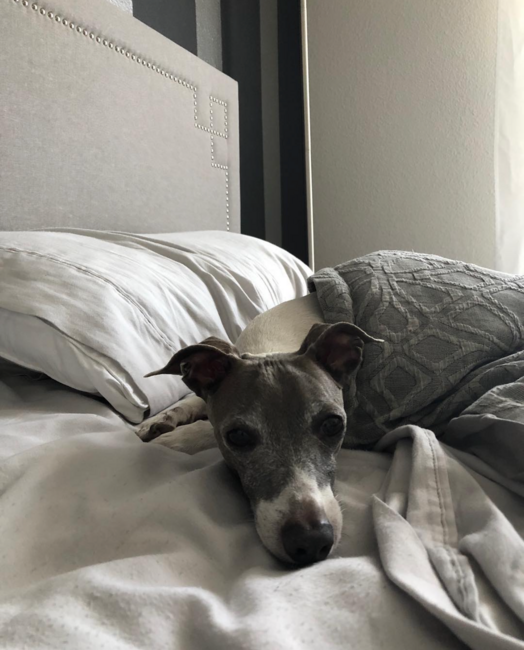 screenshot-2026-04-07-at-4