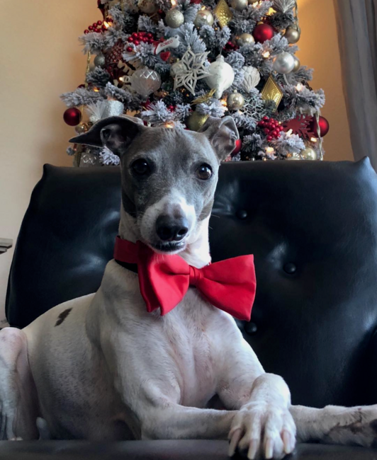 screenshot-2026-04-07-at-4