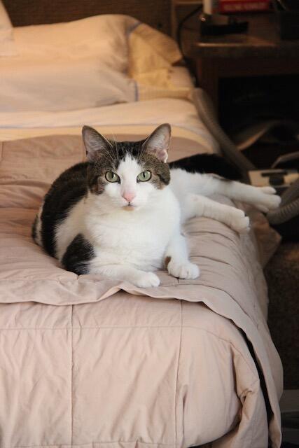 7f8e542f-0bb5-4251-bde1-13ff47de7435