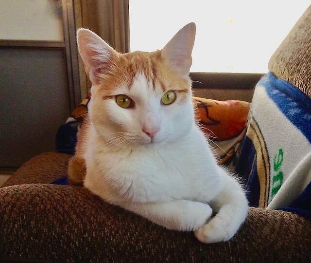 11e91d5d-5bf0-4b04-b87e-e59452651e23_1_105_c