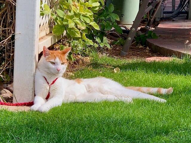 94b37bc1-a51d-4cc5-9331-16ec2e3188f6_1_105_c