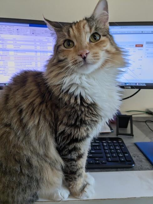 2917b392-e90d-4d64-b001-6fbd5306f39a-1_all_275