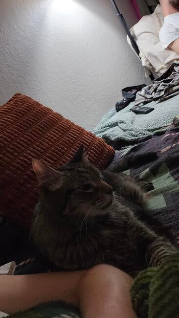 resized_20260507_203149