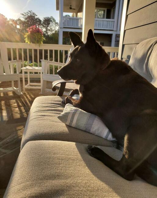 jovi-pation-sunrise-4