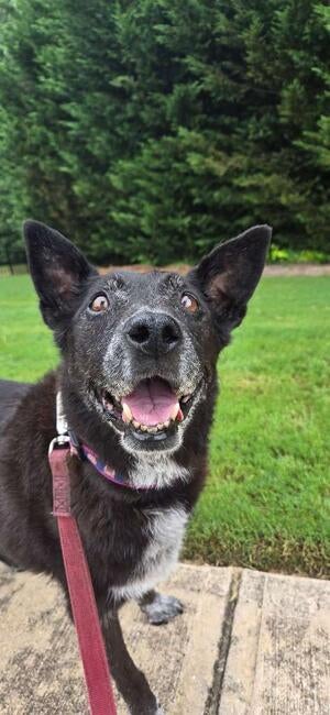 jovi-smilin-on-walk-3