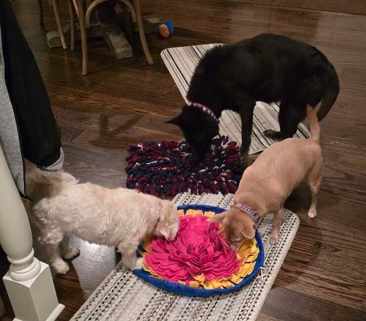 jovi-sniff-mat-party