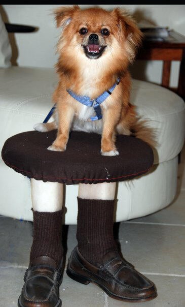 hersheyonstool