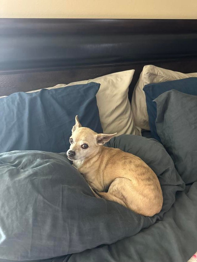 lola-2